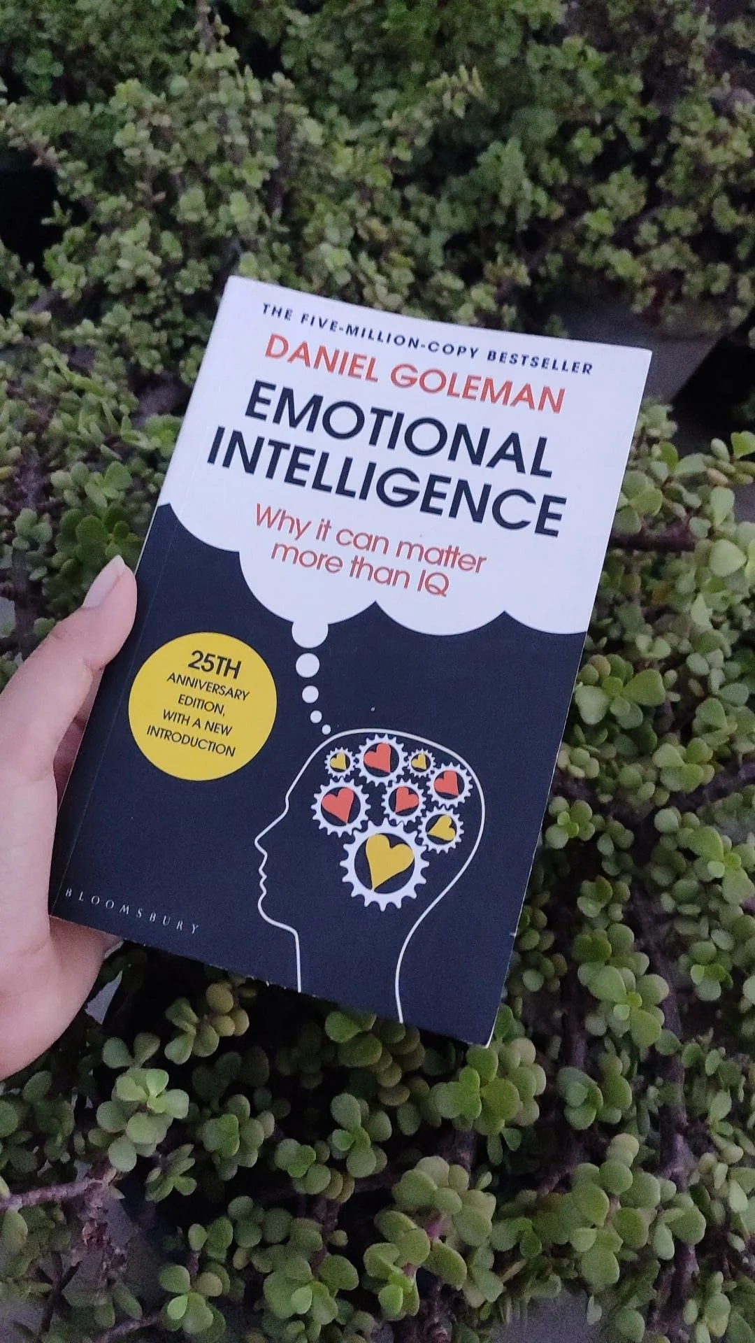 Emotional Intelligence by Daniel Goleman - Image 2