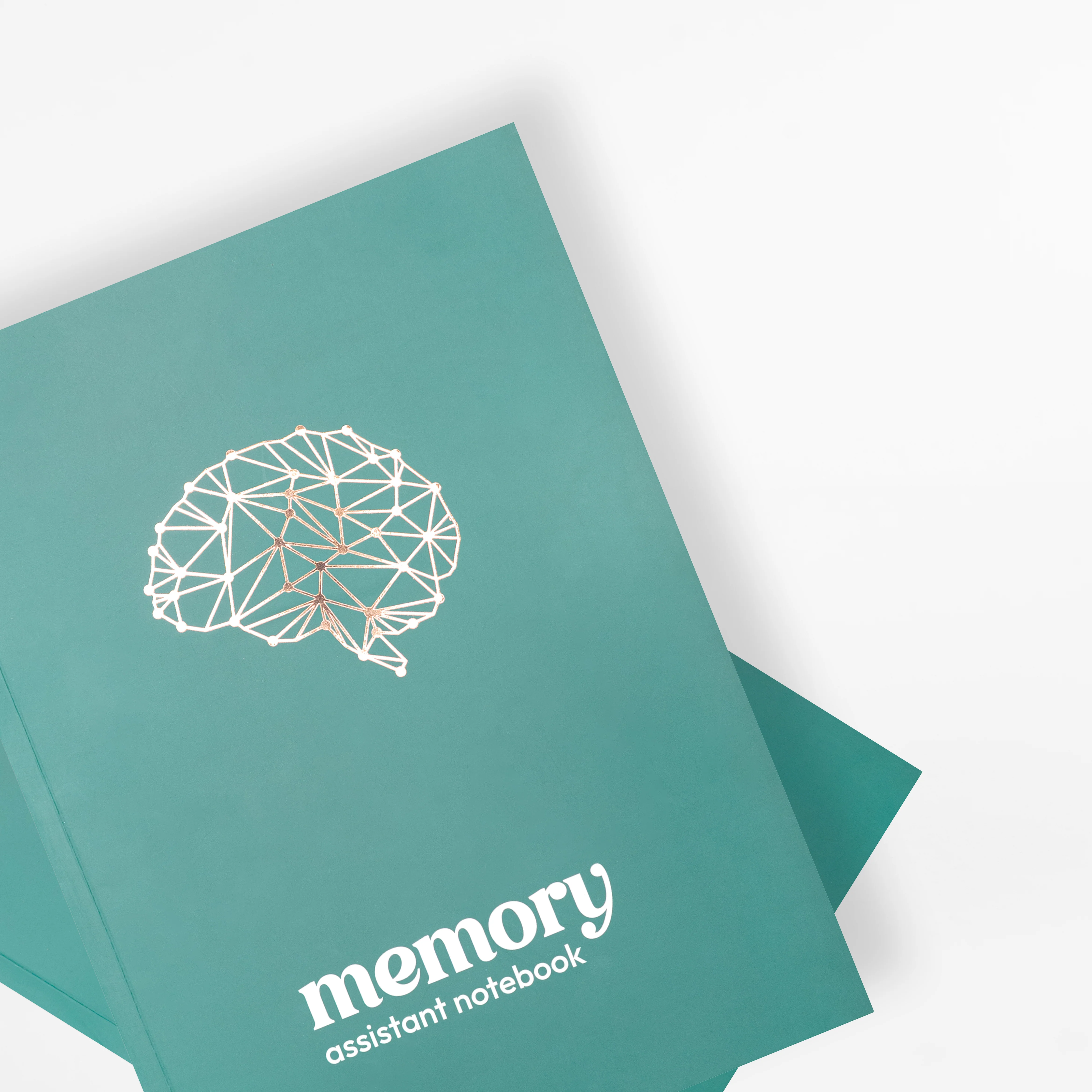 Memory Assistant Notebook (Student Edition) - Image 2